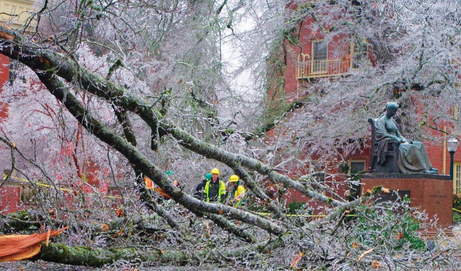 On December 14, 2016, a severe ice storm hit Eugene, Oregon, downing trees all over the city.