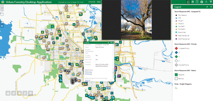 Eric Cariaga, the city’s parks and open space technical specialist, built a web-based app that could map and track the tree hazards residents called in to the public works department.