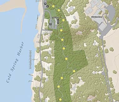 The yellow dots on this map show the location of each trail marker.