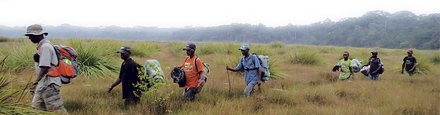 Simeon Dino, the program coordinator for Tshopo Province, leads a research team across a savanna in Lomami National Park.