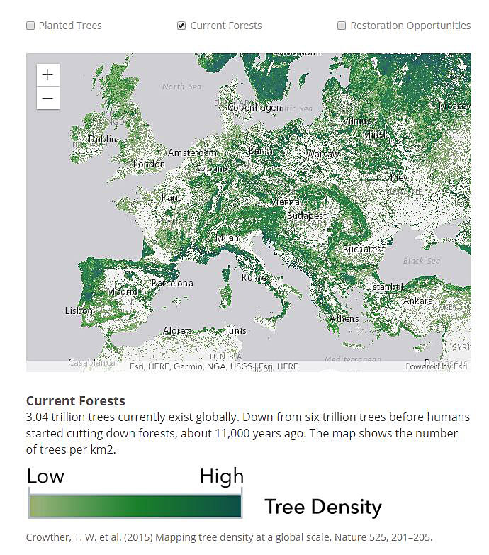 The map in the app displays the location of forested areas throughout the world. The map in the app displays the location of forested areas throughout the world.