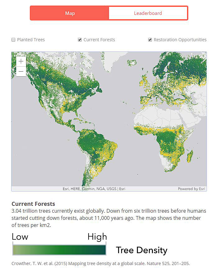 The yellow portions on the map indicate areas that would be good locations for reforestation.