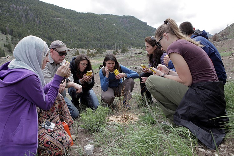 Students work in concert with Sinks Canyon State Park to create a geodatabase in Esri's ArcPad and then use Trimble Juno devices to mark the position and health of shrubs planted after a summer wildfire. Students work in concert with Sinks Canyon State Park to create a geodatabase in Esri's ArcPad and then use Trimble Juno devices to mark the position and health of shrubs planted after a summer wildfire.