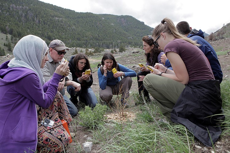 Students work in concert with Sinks Canyon State Park to create a geodatabase in Esri's ArcPad and then use Trimble Juno devices to mark the position and health of shrubs planted after a summer wildfire.