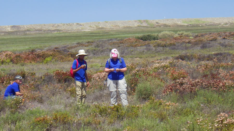 4-H GIS Leadership team member Dylan Dodson (center) collects sea lavender location data using Collector for ArcGIS.