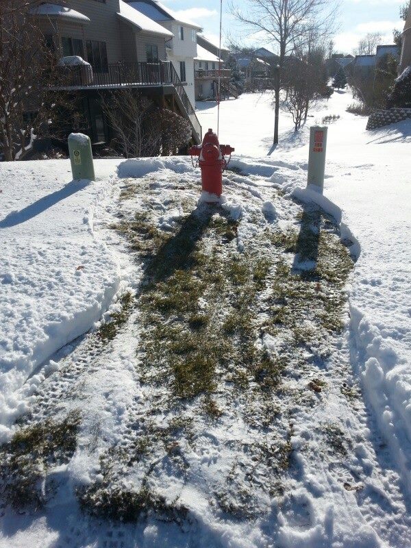 Spot the hydrant looks nice and clean after a snowfall in Minnesota, thanks to adopter Mark Frederick. Photo courtesy of Mark Frederick.