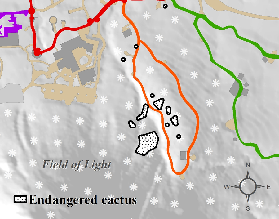 Detailed maps that show the locations of plants allow staff to carefully design exhibits that protect rare and endangered cacti planted at Desert Botanical Garden.