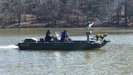 cadaver dogs checking the pond