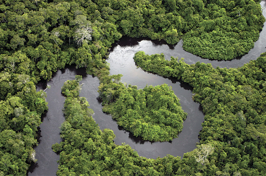 A Passion for Geography Leads to the Rain Forest