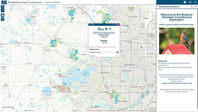 Bluebird nest web app