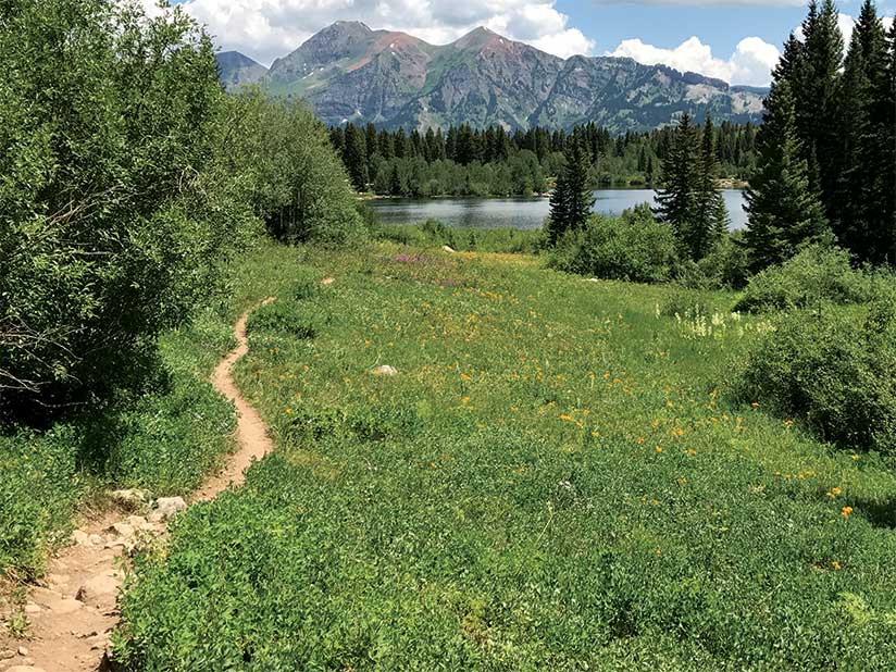 A trail near Crested Butte A trail near Crested Butte
