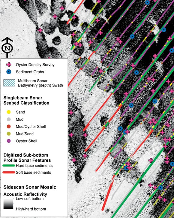 Sonar surveys characterize seabed habitat Sonar surveys characterize seabed habitat