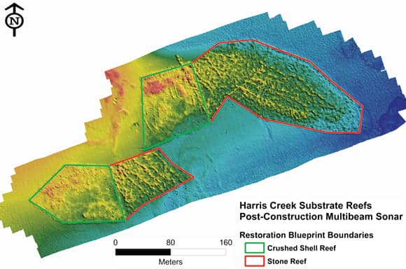 A digital surface model shows new reefs A digital surface model shows new reefs