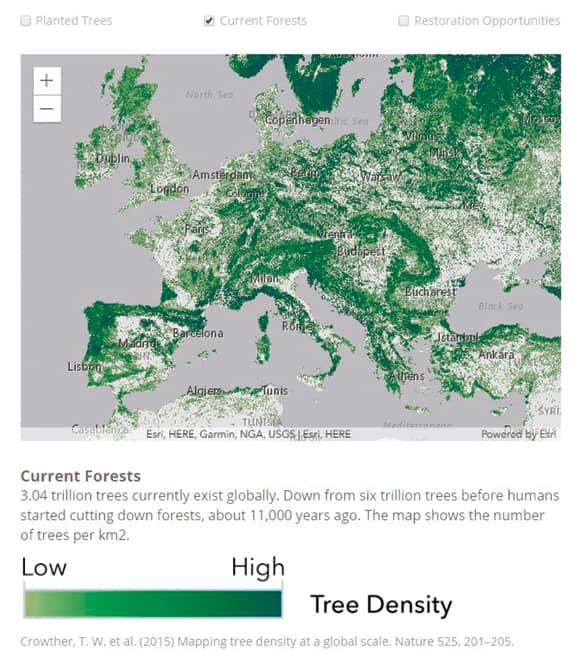 Locating forests