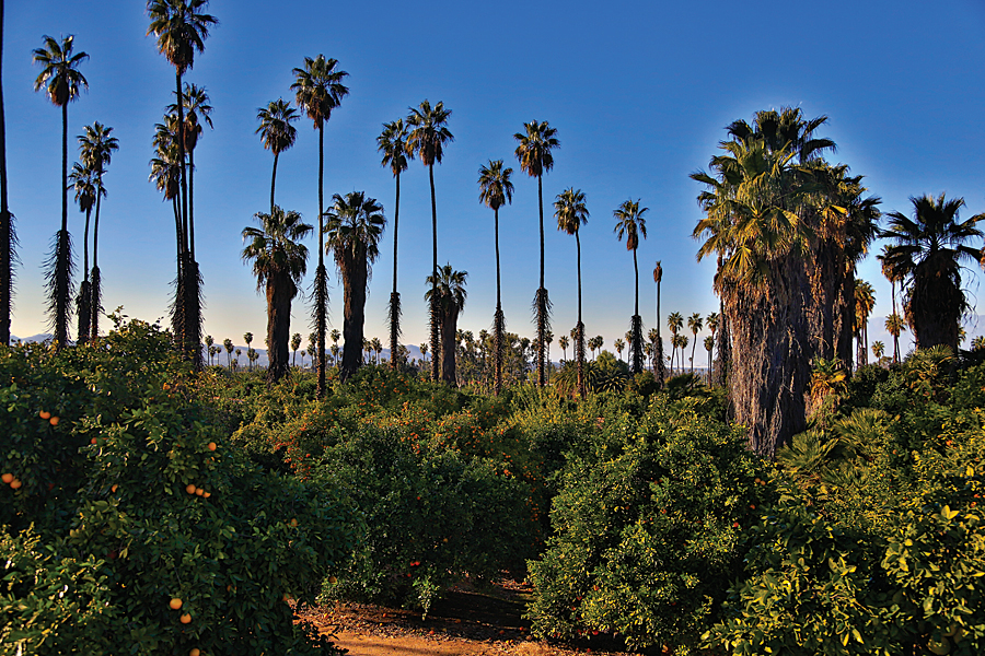 Riverside County, California