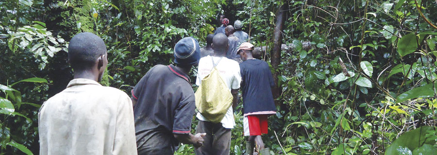 Local communities in the Upper Guinean rain forest have traditionally used natural landmarks, such as big trees, to define the boundaries of their land. But as Sierra Leone has opened up to foreign investment, communities have struggled to prove that the land is theirs.