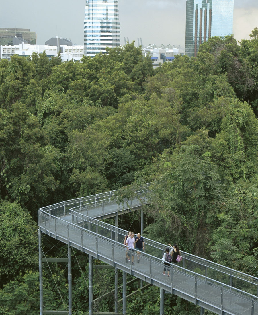 Park connectors, like this one in Singapore, allow urban dwellers to walk, bike, and jog from place to place without leaving vegetated areas.