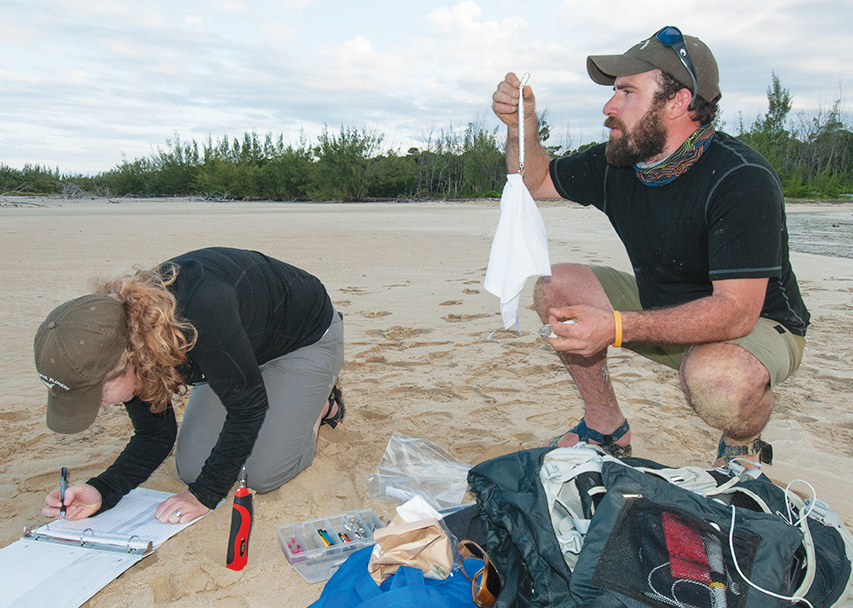 Audubon volunteers collect data for a project in the Bahamas. (Photo by Walker Golder/courtesy of the National Audubon Society.)