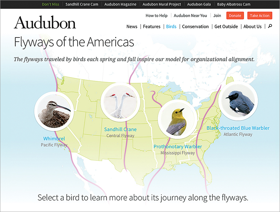 When Audubon committed to large-scale conservation projects in 2010, it adopted a new organizational structure based on four flyways traveled by migrating birds. (Screen shot courtesy of the National Audubon Society.) When Audubon committed to large-scale conservation projects in 2010, it adopted a new organizational structure based on four flyways traveled by migrating birds. (Screen shot courtesy of the National Audubon Society.)