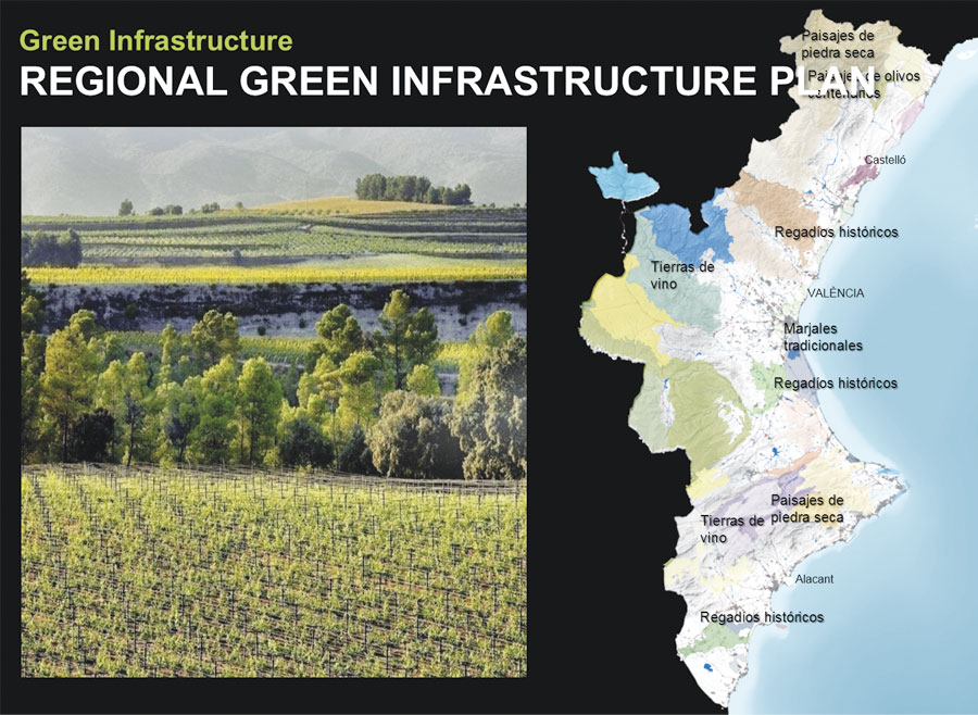 Today, a plan is in place to create a green infrastructure network in the Valencia region to promote clean air and biodiversity. Today, a plan is in place to create a green infrastructure network in the Valencia region to promote clean air and biodiversity.