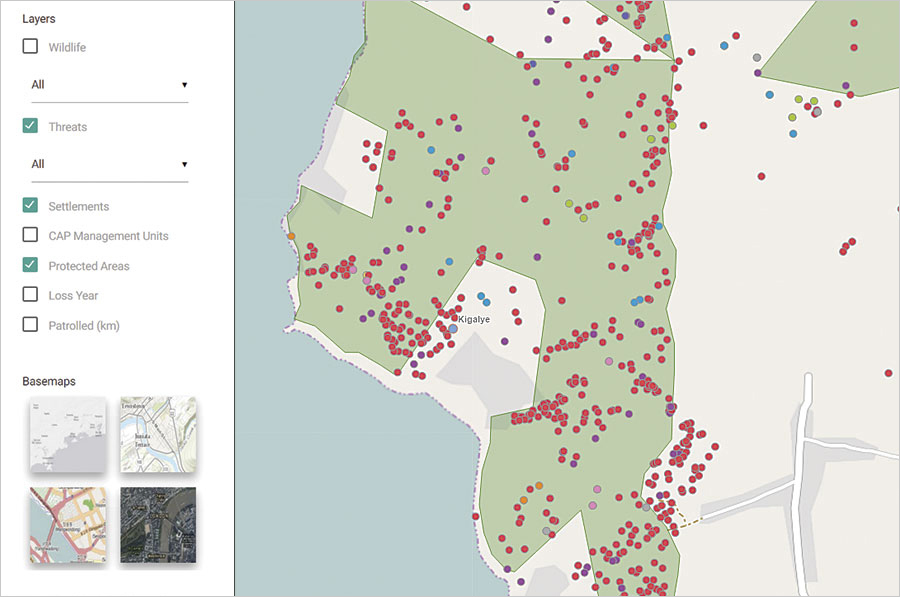 With the Community Forest Monitoring Dashboard, decision-makers can see how thoroughly the Kigalye Forest Reserve is being patrolled and how frequently illegal activities take place.