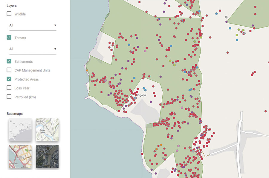 With the Community Forest Monitoring Dashboard, decision-makers can see how thoroughly the Kigalye Forest Reserve is being patrolled and how frequently illegal activities take place. With the Community Forest Monitoring Dashboard, decision-makers can see how thoroughly the Kigalye Forest Reserve is being patrolled and how frequently illegal activities take place.