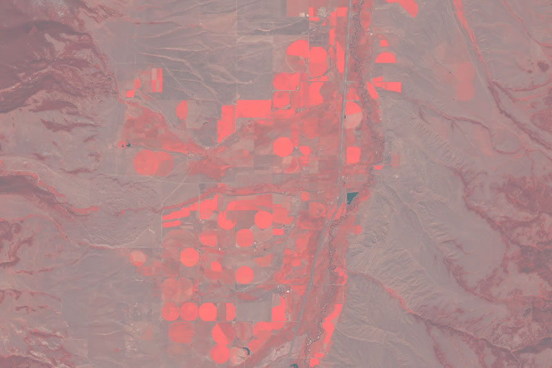Better visualize any changing feature that needs regular monitoring with RapidEye Living Image Multispectral. Better visualize any changing feature that needs regular monitoring with RapidEye Living Image Multispectral.