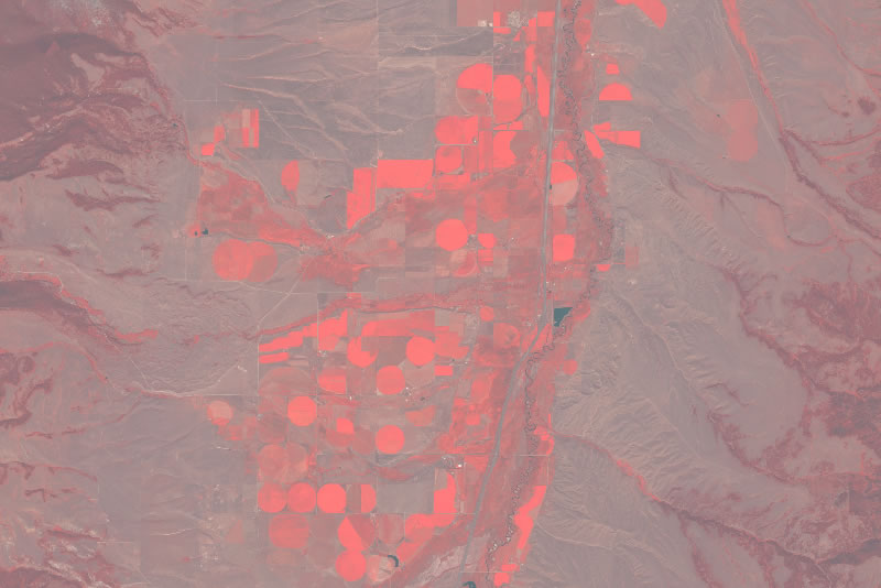 Better visualize any changing feature that needs regular monitoring with RapidEye Living Image Multispectral.