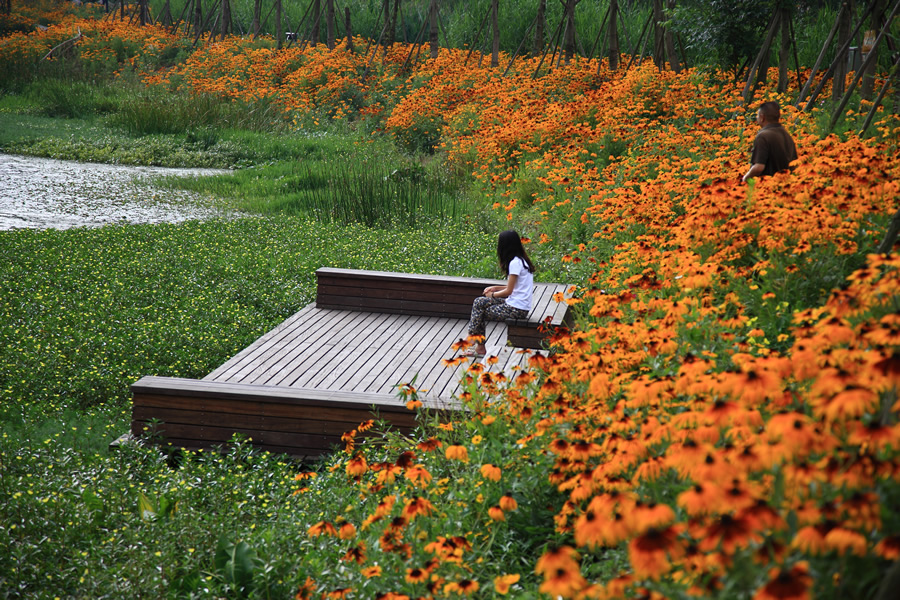 A girl sits on a bench in Minhu Wetland Park in Liupanshui City, China. The Chinese firm Turenscape created a biodiverse ecosystem for a once-polluted area. Photo courtesy of Kongjian Yu/Turenscape.