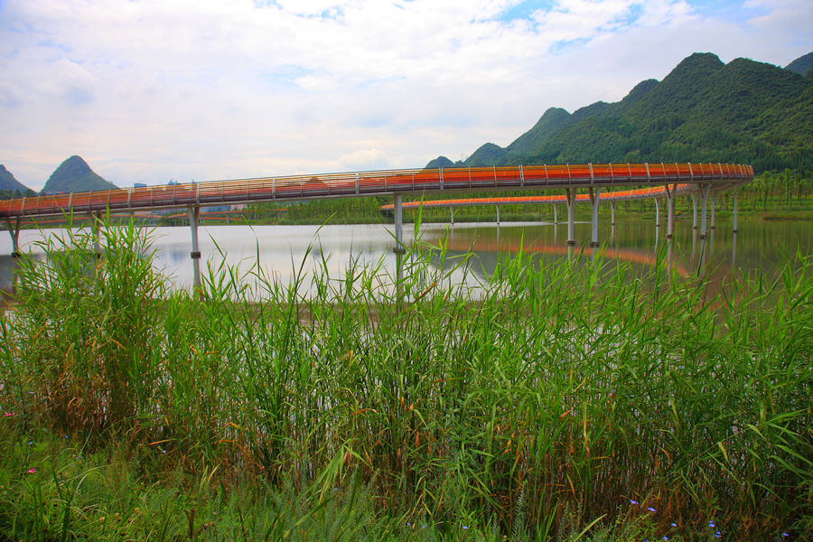 Turenscape designed this pedestrian bridge over Minhu Wetland Park in southwestern China. Photo courtesy of Kongjian Yu/Turenscape.