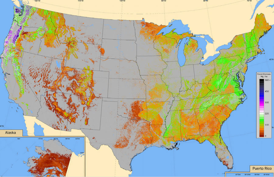 This map shows aboveground forest biomass in live trees, stumps, branches, and twigs. Biomass is important for keeping carbon out of the atmosphere. This map shows aboveground forest biomass in live trees, stumps, branches, and twigs. Biomass is important for keeping carbon out of the atmosphere.