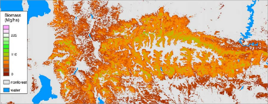 Forest researchers map where biomass might be located in the Uinta Mountains in Utah. Forest researchers map where biomass might be located in the Uinta Mountains in Utah.