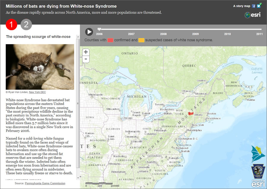 White-nose syndrome was first seen in bats at a cave in Schoharie County, New York, in 2006.