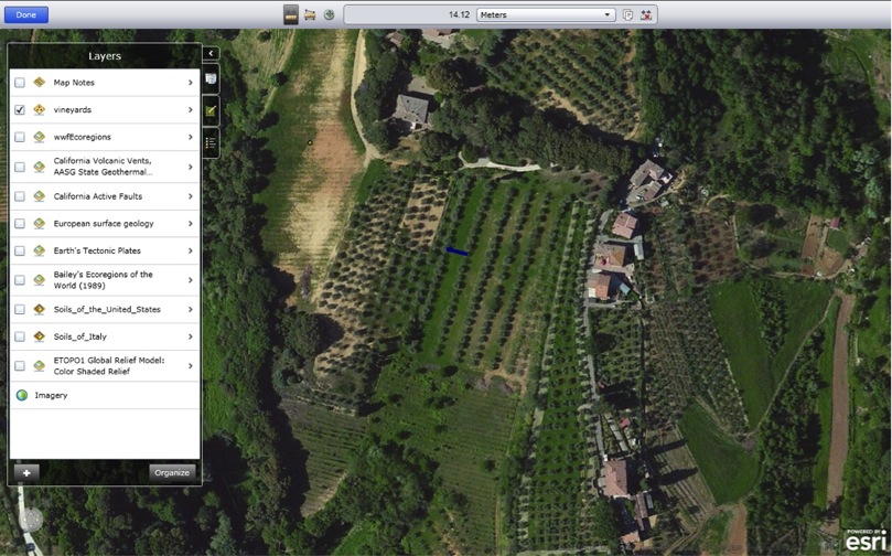 Example of vine spacing, density measurement (ArcGIS Explorer Online).