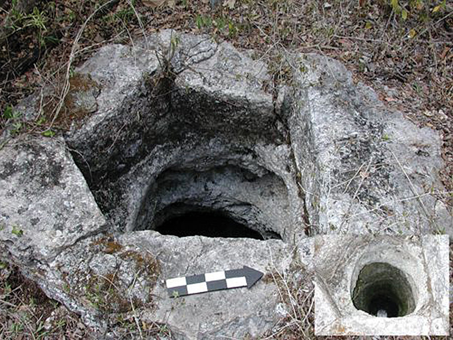 Small cenote found on the Yucatán Peninsula. (Photo: Virginia Ochoa-Winemiller.) Small cenote found on the Yucatán Peninsula. (Photo: Virginia Ochoa-Winemiller.)