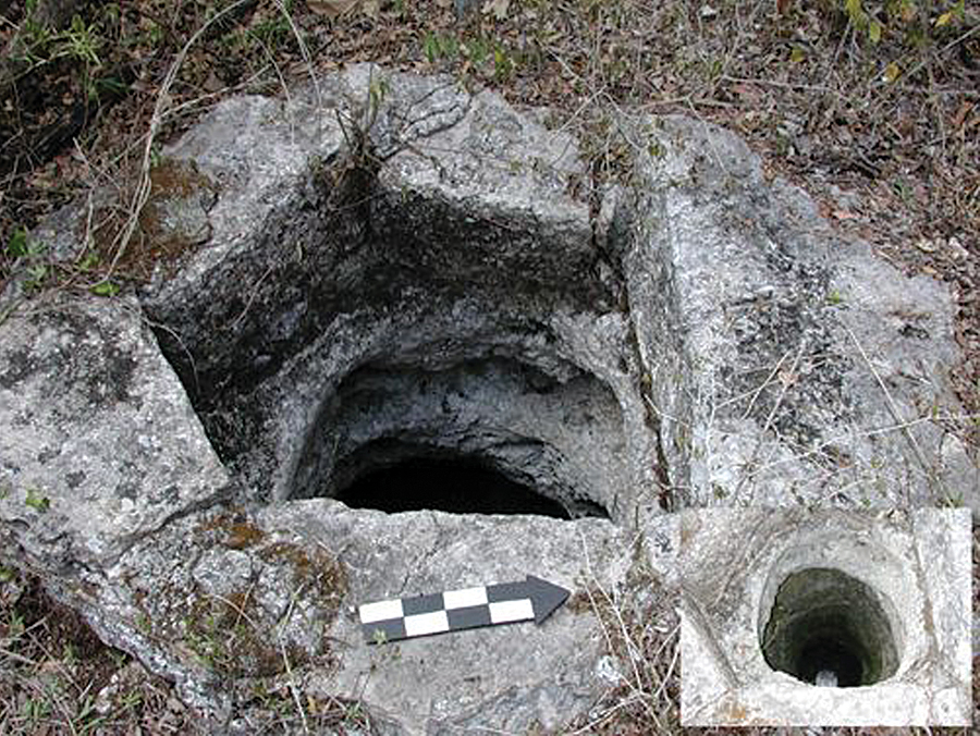 Small cenote found on the Yucatán Peninsula. (Photo: Virginia Ochoa-Winemiller.)