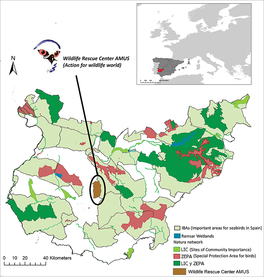 The different protected areas of the Spanish province of Badajoz and where the Wildlife Rescue Center AMUS is located.