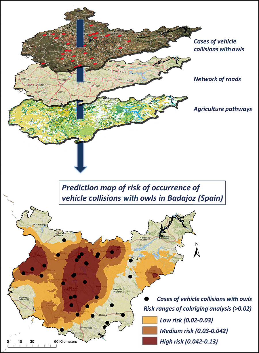Map of prediction of risk of occurrence of vehicle collisions with owls in the study area. Map of prediction of risk of occurrence of vehicle collisions with owls in the study area.