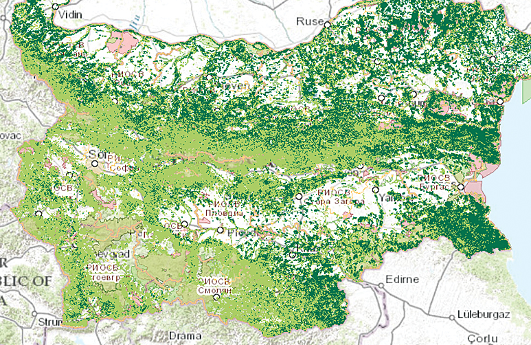 A geospatial analysis of the distribution of the stag beetle, a protected species, made by using the GIS module.