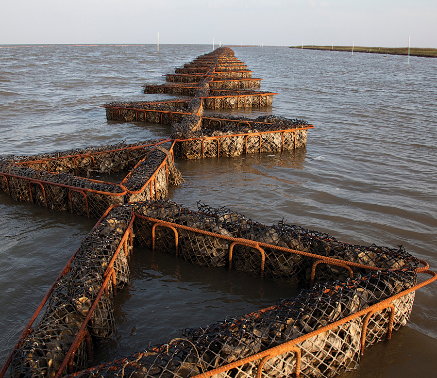 Alabama oyster reef installed with booms.
