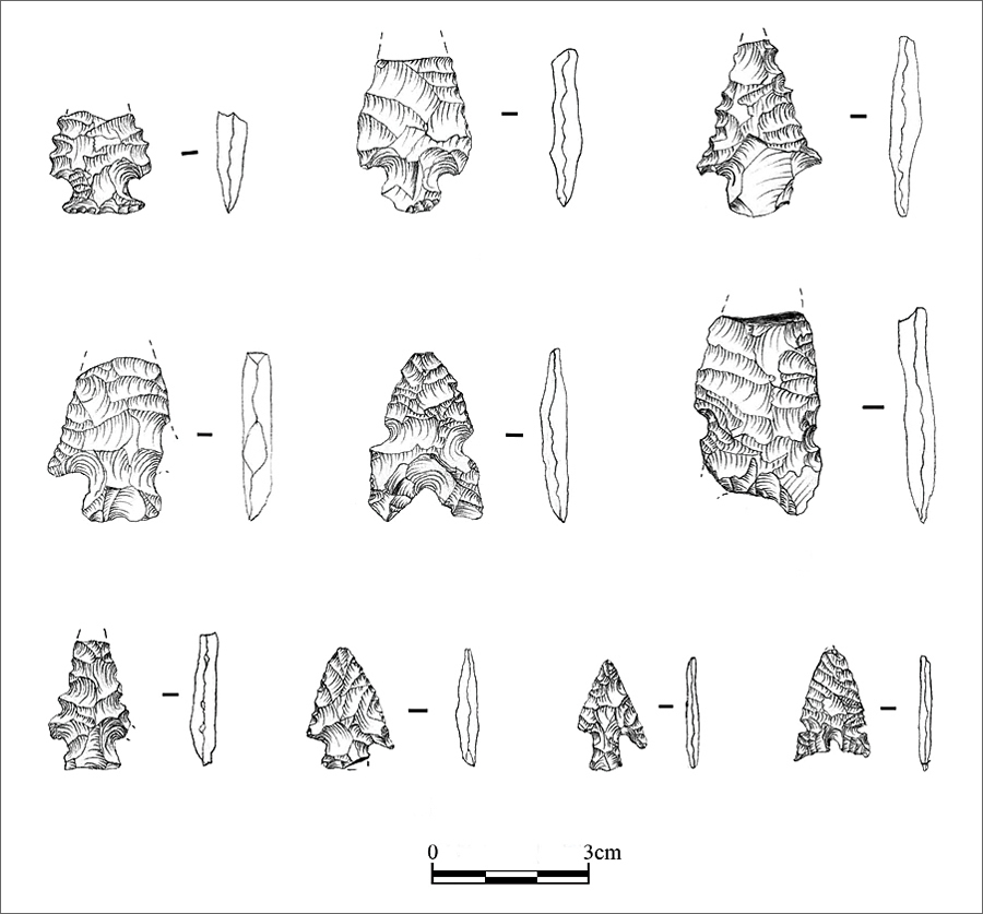 Projectile points recovered during the study of site 5MN8324. (Drawn by Jenn Mueller.)