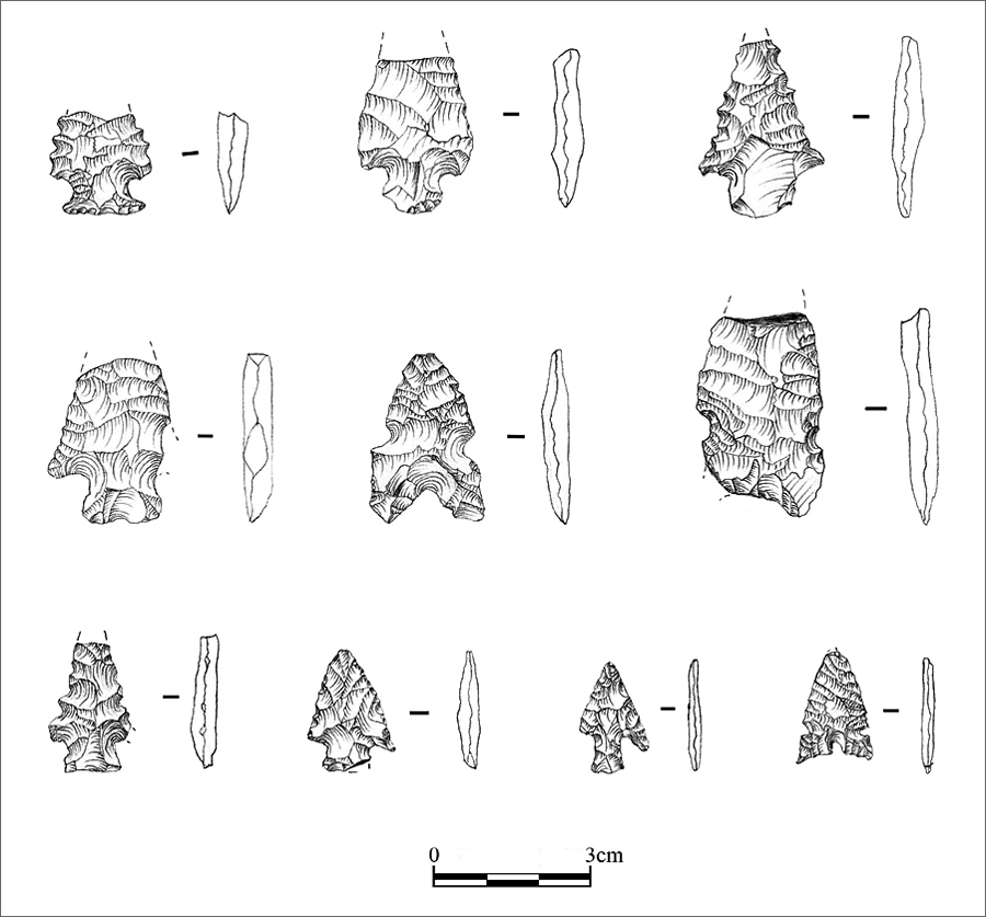 Projectile points recovered during the study of site 5MN8324. (Drawn by Jenn Mueller.) Projectile points recovered during the study of site 5MN8324. (Drawn by Jenn Mueller.)