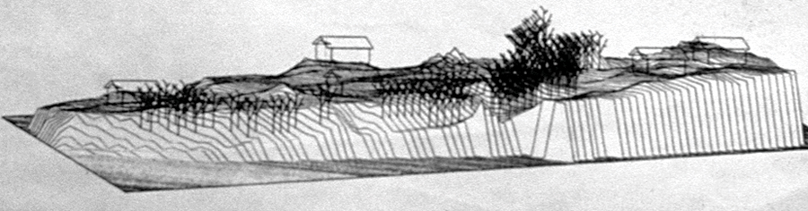 Figure 9. Buildings and trees on terrain. (Courtesy of C. Steinitz.)