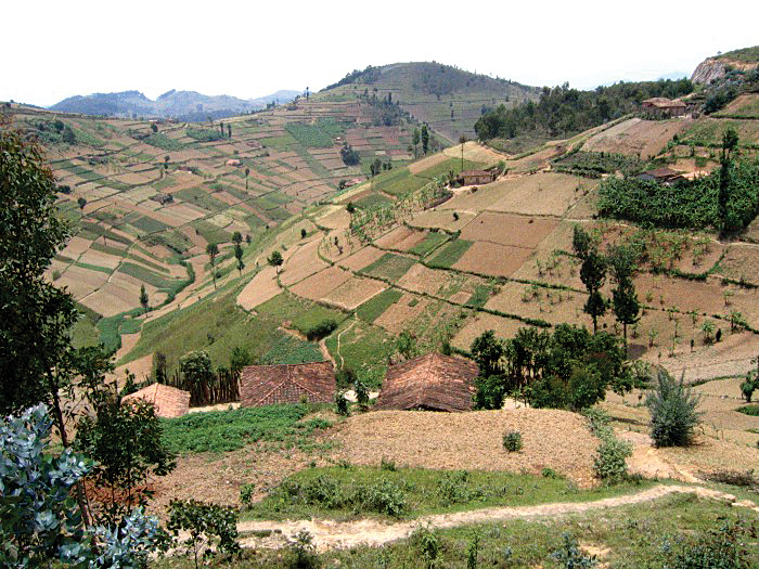 Trekking through Rwanda.