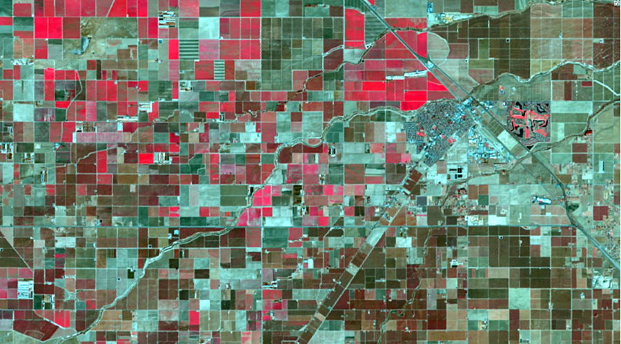 Landsat 8 color infrared (bands 5,4,3) of Chowchilla, California, highlighting vegetation in red.