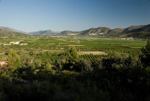 Valencia region is suited for agriculture