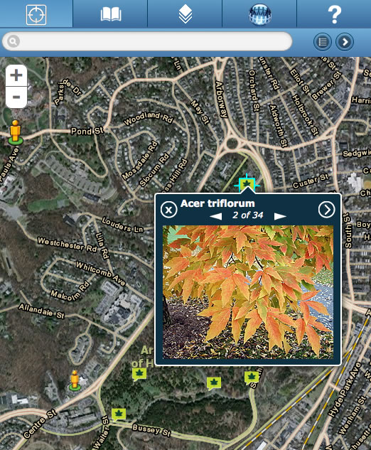 Leaf icons indicate a plant, tree, shrub, or vine that contains an identifying photo from Flickr photo service.