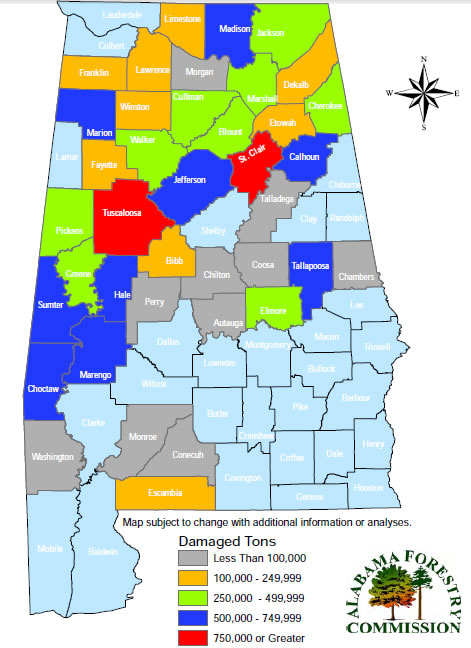 The volume of timber damage was calculated for each of the 39 Alabama counties impacted by the tornadoes. The data is from AFC, Esri, National Land Cover Database (NLCD), and USGS. The volume of timber damage was calculated for each of the 39 Alabama counties impacted by the tornadoes. The data is from AFC, Esri, National Land Cover Database (NLCD), and USGS.