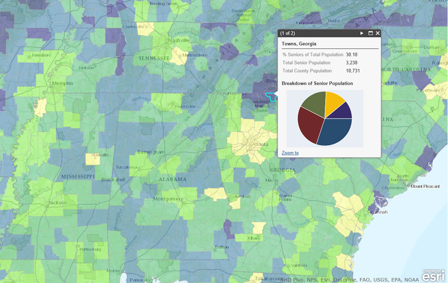 Some rural counties such as Town County, Georgia, have higher percentages of senior citizens living there compared to the counties in the Atlanta metro area.