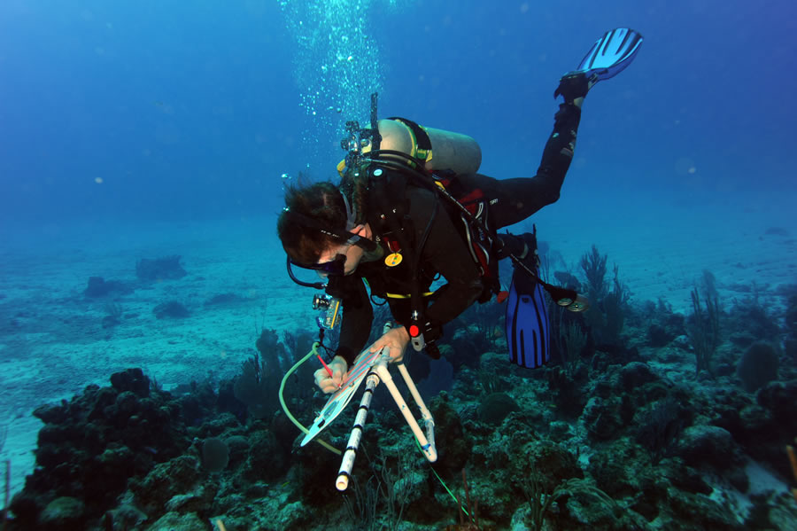 A diver surveys the waters in the Galapagos Islands. Credit: Living Oceans Foundation